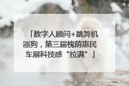 数字人顾问+跳舞机器狗，第三届槐荫惠民车展科技感“拉满”