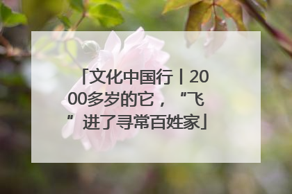 文化中国行丨2000多岁的它，“飞”进了寻常百姓家