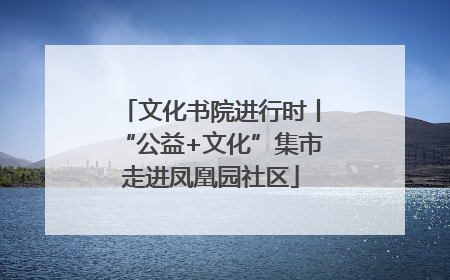 文化书院进行时丨“公益+文化”集市走进凤凰园社区