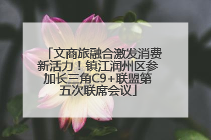 文商旅融合激发消费新活力！镇江润州区参加长三角C9+联盟第五次联席会议