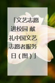 文艺志愿进校园 献礼中国文艺志愿者服务日（图）