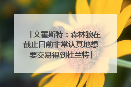 文霍斯特：森林狼在截止日前非常认真地想要交易得到杜兰特
