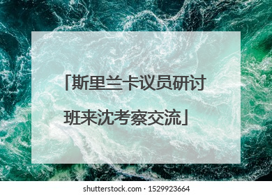 斯里兰卡议员研讨班来沈考察交流