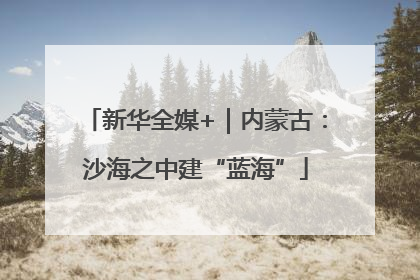 新华全媒+｜内蒙古：沙海之中建“蓝海”