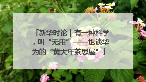 新华时论｜有一种科学，叫“无用”——也谈华为的“黄大年茶思屋”