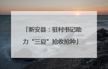 新安县：驻村书记助力“三夏”抢收抢种