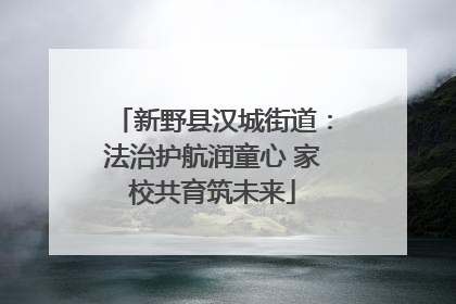 新野县汉城街道：法治护航润童心 家校共育筑未来