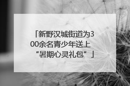 新野汉城街道为300余名青少年送上“暑期心灵礼包”