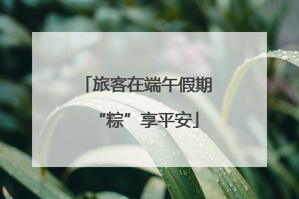 旅客在端午假期“粽”享平安