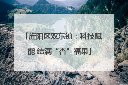 旌阳区双东镇：科技赋能 结满“杏”福果