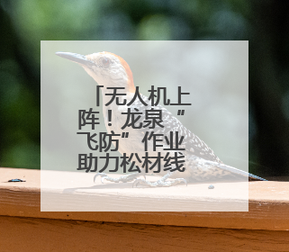 无人机上阵！龙泉“飞防”作业助力松材线虫病防治