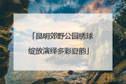 昆明郊野公园绣球绽放演绎多彩夏韵