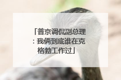 普京调侃副总理：我俩到底谁在克格勃工作过