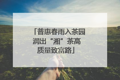普惠春雨入茶园 润出“湘”茶高质量致富路