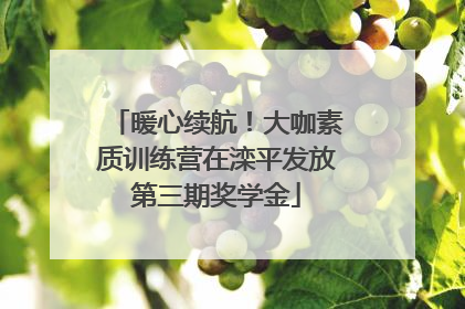 暖心续航！大咖素质训练营在滦平发放第三期奖学金