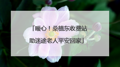 暖心！桑植东收费站助迷途老人平安回家