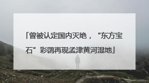 曾被认定国内灭绝，“东方宝石”彩鹮再现孟津黄河湿地
