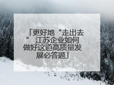 更好地“走出去” 江苏企业如何做好这道高质量发展必答题