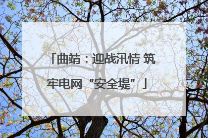 曲靖：迎战汛情 筑牢电网“安全堤”