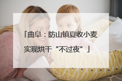 曲阜：防山镇夏收小麦实现烘干“不过夜”