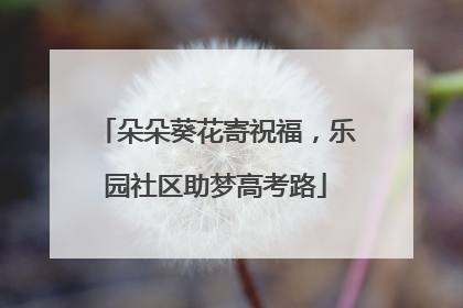 朵朵葵花寄祝福，乐园社区助梦高考路