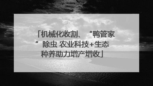 机械化收割、“鸭管家”除虫 农业科技+生态种养助力增产增收