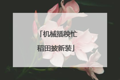 机械插秧忙 稻田披新装