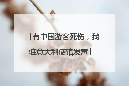 有中国游客死伤，我驻意大利使馆发声