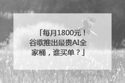 每月1800元！谷歌推出最贵AI全家桶，谁买单？