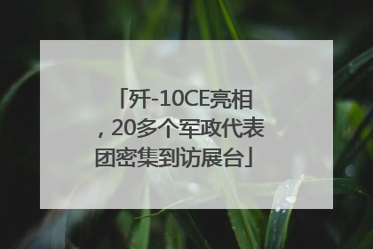 歼-10CE亮相，20多个军政代表团密集到访展台