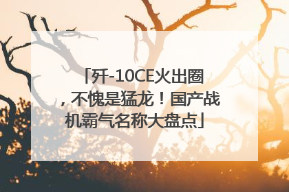 歼-10CE火出圈，不愧是猛龙！国产战机霸气名称大盘点