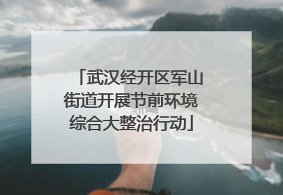 武汉经开区军山街道开展节前环境综合大整治行动
