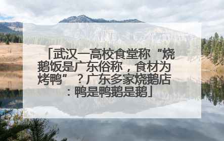 武汉一高校食堂称“烧鹅饭是广东俗称，食材为烤鸭”？广东多家烧鹅店：鸭是鸭鹅是鹅