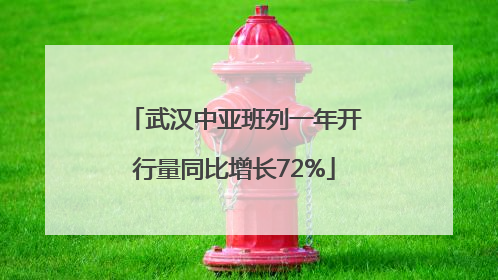 武汉中亚班列一年开行量同比增长72%