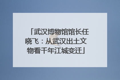 武汉博物馆馆长任晓飞：从武汉出土文物看千年江城变迁