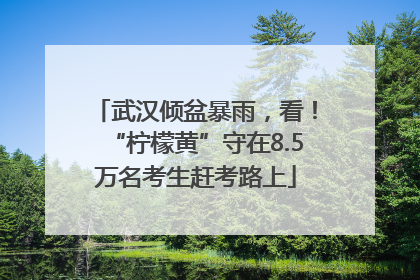 武汉倾盆暴雨，看！“柠檬黄”守在8.5万名考生赶考路上