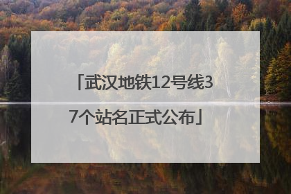 武汉地铁12号线37个站名正式公布