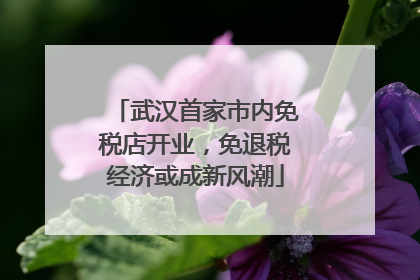 武汉首家市内免税店开业，免退税经济或成新风潮