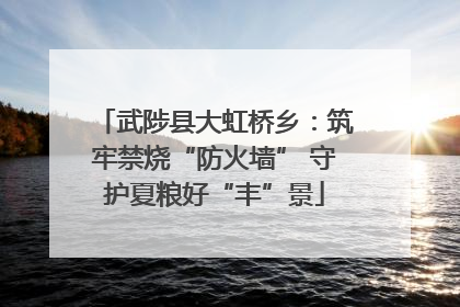 武陟县大虹桥乡：筑牢禁烧“防火墙” 守护夏粮好“丰”景
