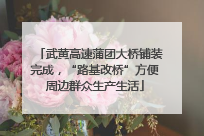 武黄高速蒲团大桥铺装完成，“路基改桥”方便周边群众生产生活