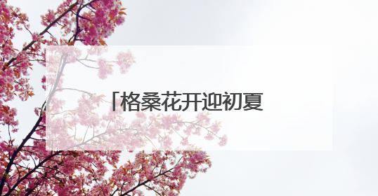格桑花开迎初夏 “彩虹公路”绘锦绣 德兴以生态之笔绘就宜居幸福图景