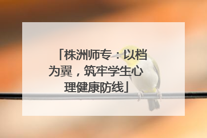 株洲师专：以档为翼，筑牢学生心理健康防线