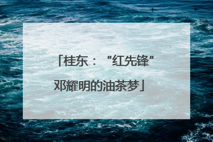 桂东：“红先锋”邓耀明的油茶梦