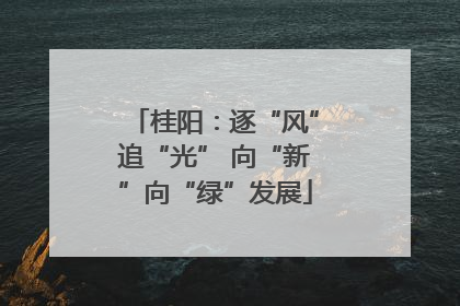 桂阳：逐“风”追“光” 向“新”向“绿”发展