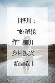 桦川：“虾稻轮作”铺开乡村振兴新画卷