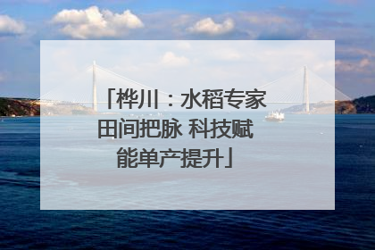 桦川：水稻专家田间把脉 科技赋能单产提升
