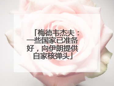 梅德韦杰夫：一些国家已准备好，向伊朗提供自家核弹头