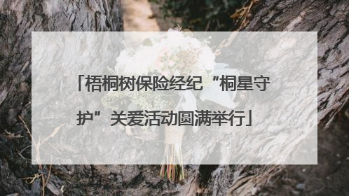 梧桐树保险经纪“桐星守护”关爱活动圆满举行