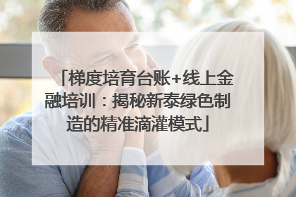 梯度培育台账+线上金融培训：揭秘新泰绿色制造的精准滴灌模式