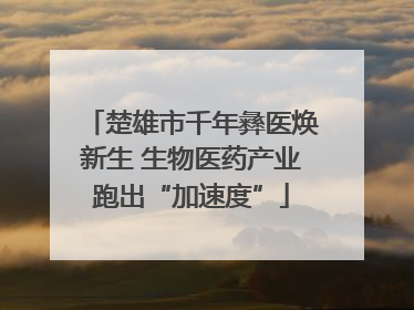 楚雄市千年彝医焕新生 生物医药产业跑出“加速度”